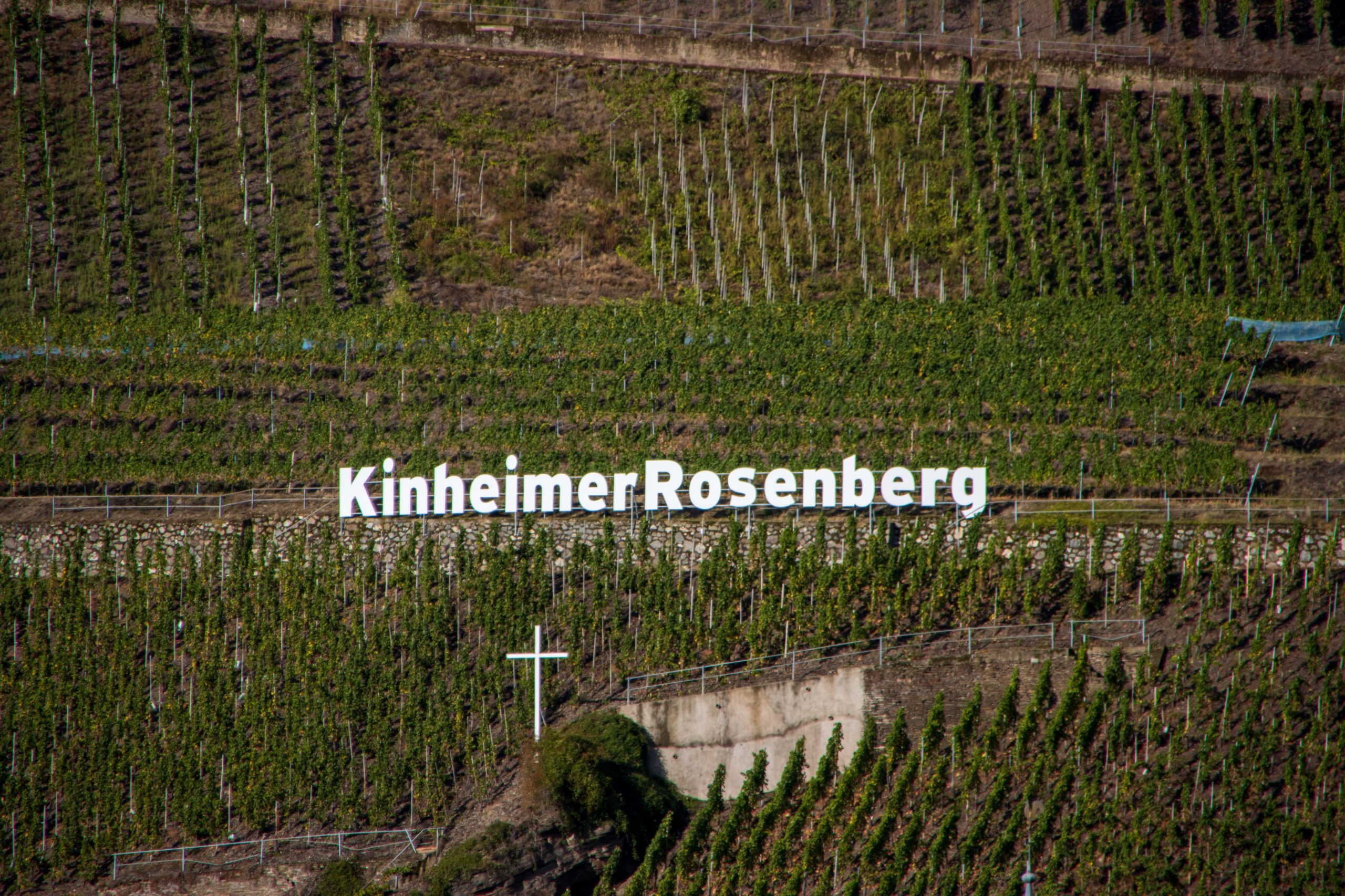 Weingut Viermorgenhof