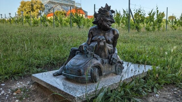 Weinberg in Zielona Gora